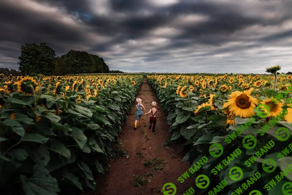 [Meridian] Meridian Lightroom-Meg Loeks-Солнцестояние