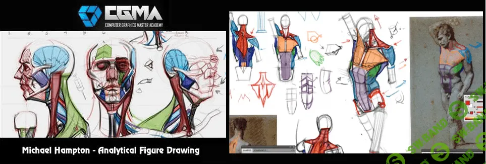 [Michael Hampton] Аналитическое рисование фигуры I - [Неделя 6]