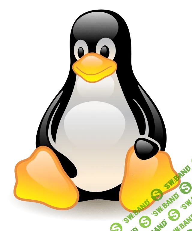 Mini VIdeo HAKING and KALI LINUX (hidra)