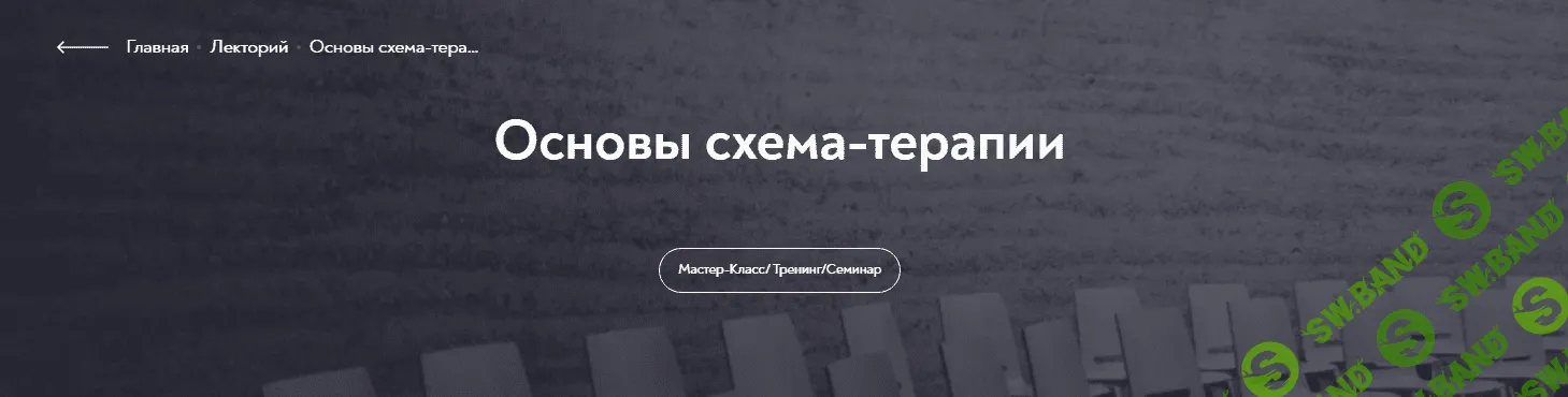 [МИП] Основы схема-терапии (2023)