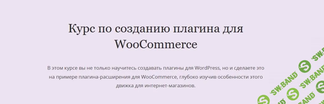 [Миша Рудрастых] Курс по созданию плагина для WooCommerce (2021)