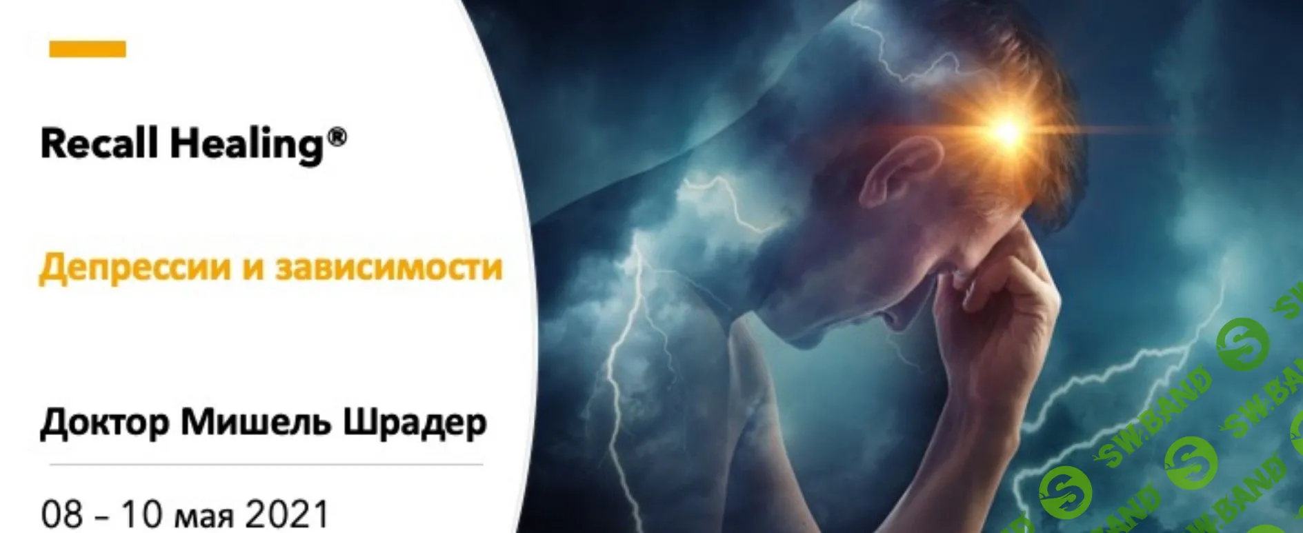 [Мишель Шрадер] Recall Healing. Депрессии и зависимости (2021)