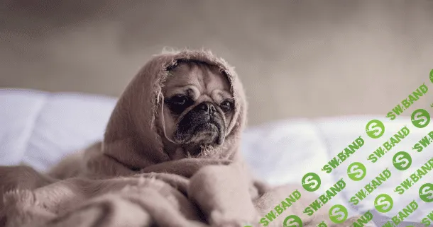 [Михаил Лабковский] Амбиции, прокрастинация, лень: как раскрыть свой потенциал? (2022)