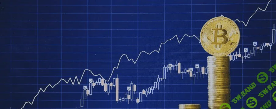 [Михаил Пименов] Курс по трейдингу для начинающих (2018)