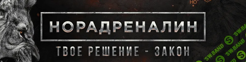 [Михаил Рысак] Норадреналин. Твоё решение - закон