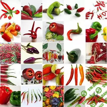 [Михайлова Ксения] Пряности и пряные травы