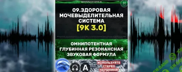 Мочевыделительная Система 3.0 [Алхимия дельфина]