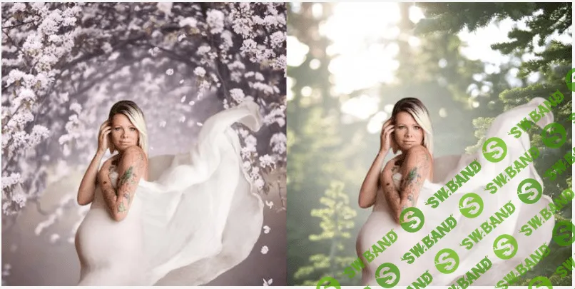 [Modernmarket] Seasonal digital backdrop collection (2018)