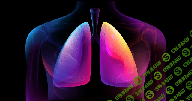 [Morpheus Fields] Целитель легких (2023)