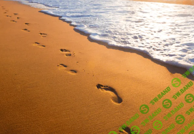 [Morpheus Fields] Полная регенерация тела 2 (2023)