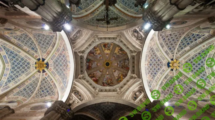 [Музеи Кремля, Елизавета Титова] Удивительная Падуя: башни до неба и «грациозная» Чертоза (2025)