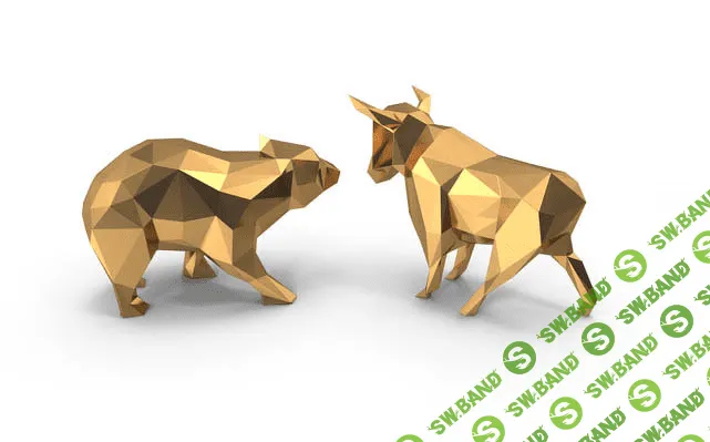 [MyEverest] Система канального диапазона (2020)