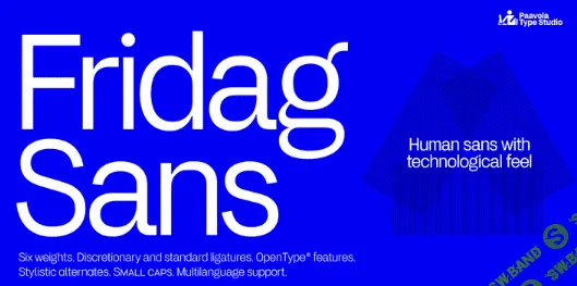 [Myfonts] Fridag Sans Font Family (2022)