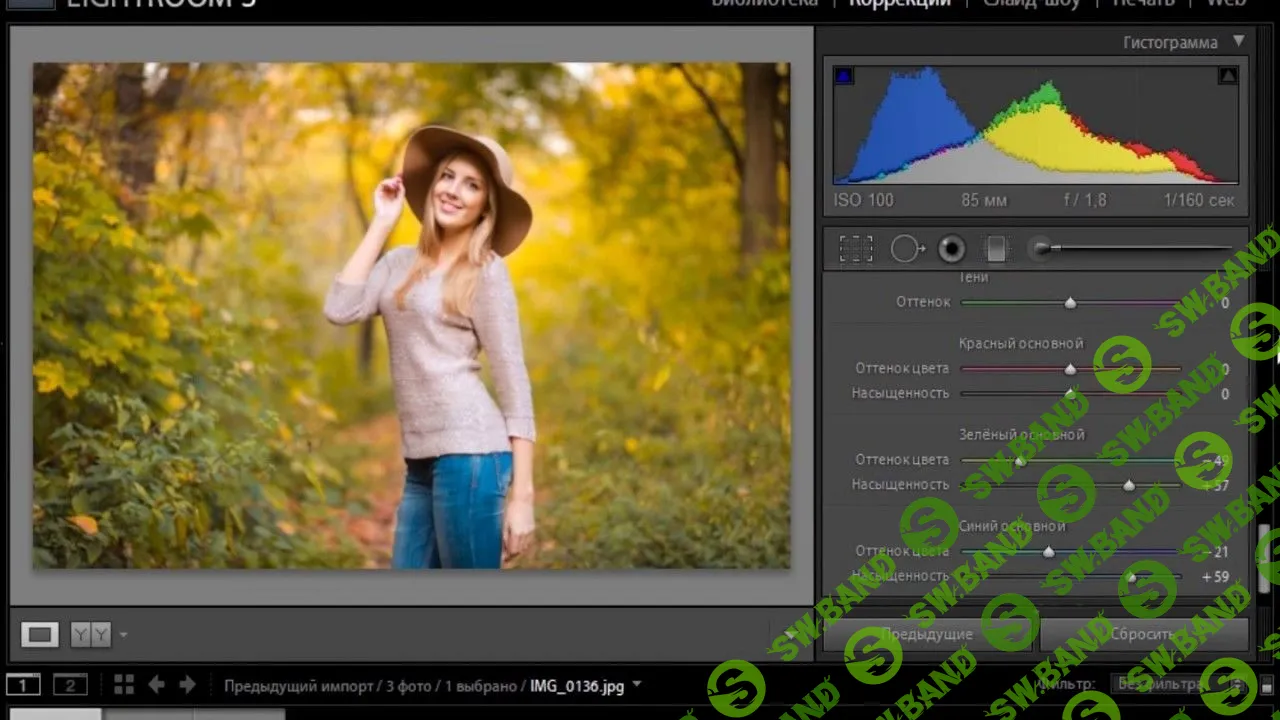 [Mywed] Цветокоррекция в Lightroom