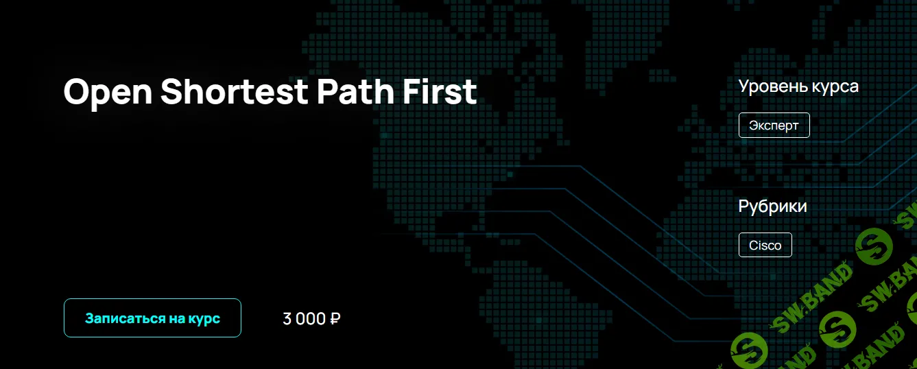[n4e.ru] Open Shortest Path First (2024)