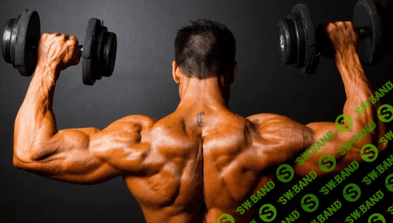 Набор мышечной массы - Фалеев (2017)