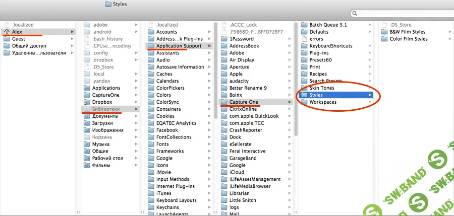 Набор стилей для Capture One (сборка 22819)