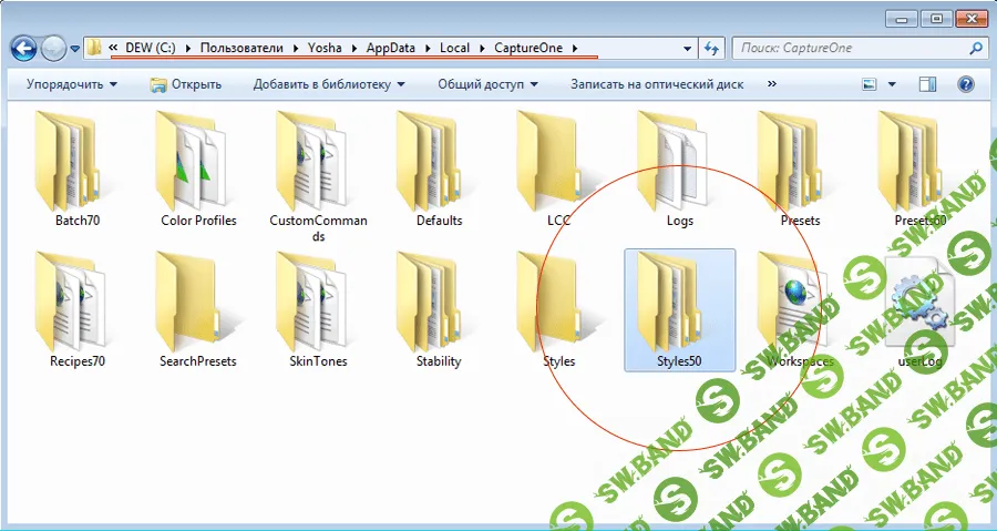 Набор стилей для Capture One (сборка 22819)