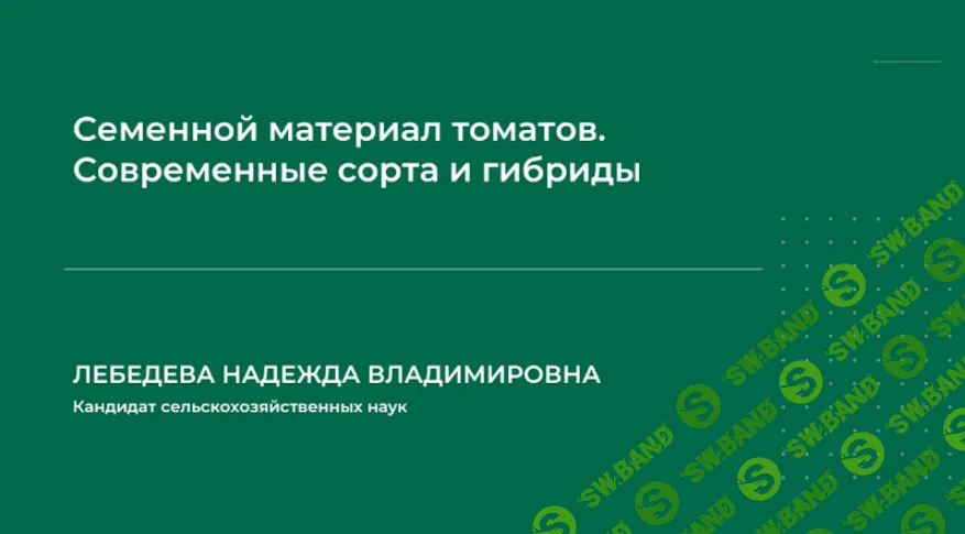 [Надежда Лебедева] Семенной материал томатов. Современные сорта и гибриды (2023)