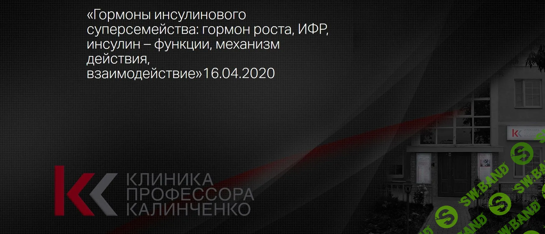 [Надежда Мазеркина] Гормоны инсулинового суперсемейства: гормон роста, ИФР, инсулин – функции, механизм действия, взаимодействие (2020)