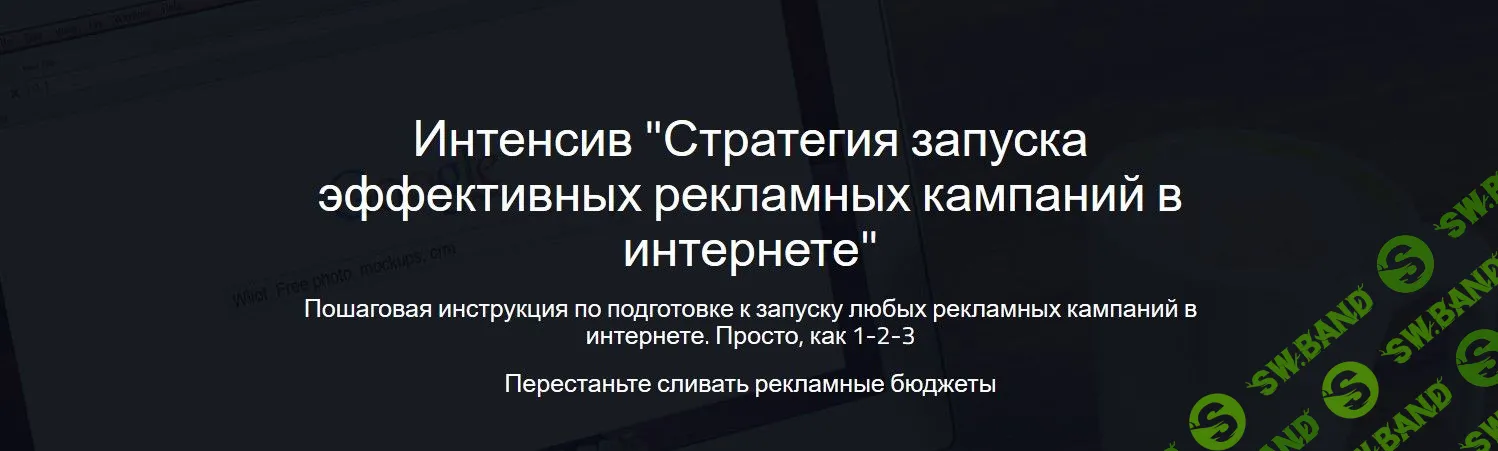 [Надежда Раюшкина] Стратегия запуска эффективных рекламных кампаний в интернете (2019)