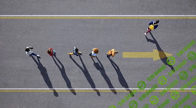 Нас всех водят за нос