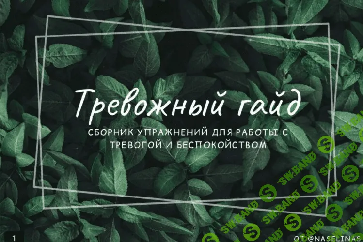 [@naselinas] Тревожный гайд