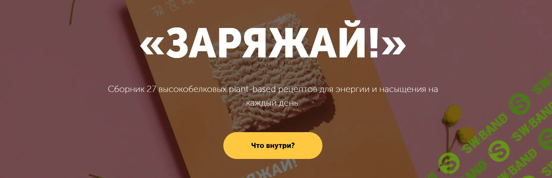 [Настя Лисица] Сборник высокобелковых рецептов «Заряжай!» (2024)