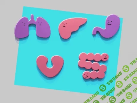 [Наталия Римша] Пищеварение: проблемы и решения [2015]