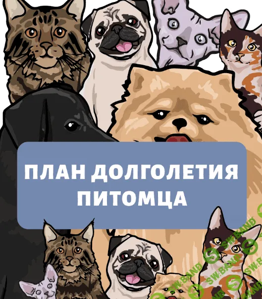 [Наталья Федосеева] Гайд «План долголетия питомца» (2022)