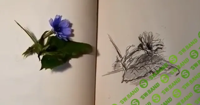 [Наталья Коневец] Быстрый скетч карандашом (2026)