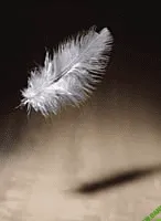 [Наталья Королева] Грудная клетка и дыхание