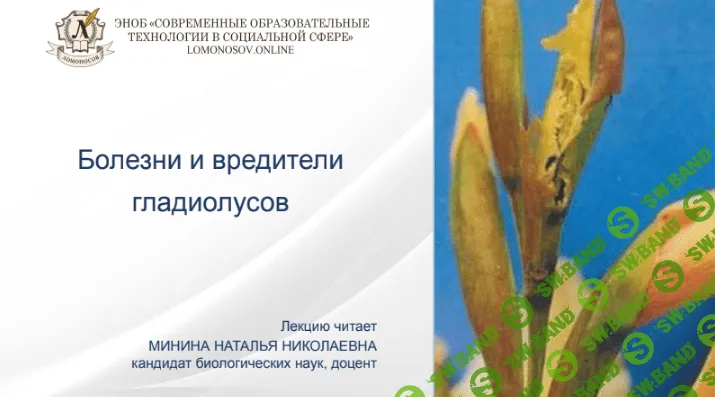 [Наталья Минина] Болезни и вредители гладиолусов (2022)
