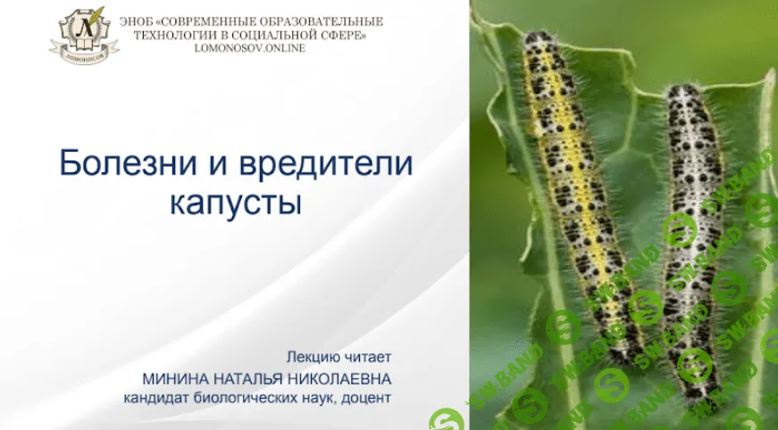 [Наталья Минина] Болезни и вредители капусты (2021)
