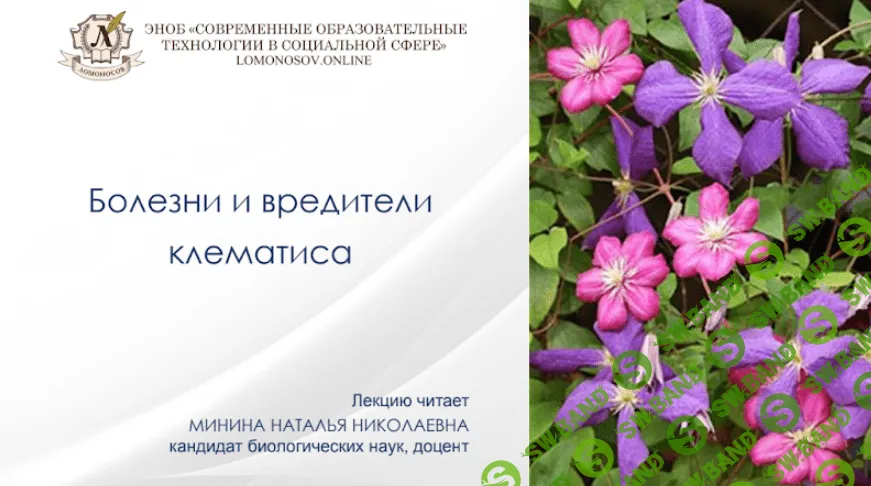 [Наталья Минина] Болезни и вредители клематиса (2022)