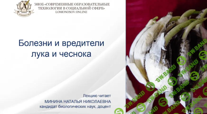 [Наталья Минина] Болезни и вредители лука и чеснока (2021)