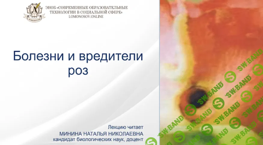 [Наталья Минина] Болезни и вредители роз (2021)