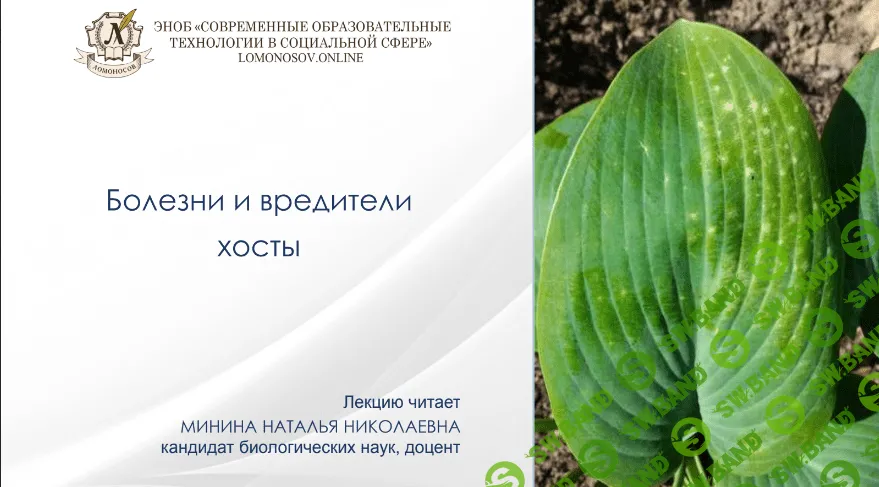 [Наталья Минина] Болезни и вредители хосты (2022)