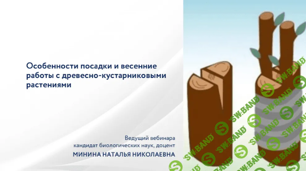 [Наталья Минина] Особенности посадки и весенние работы с древесно-кустарниковыми растениями (2023)