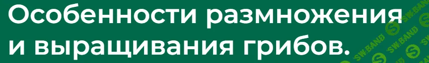 [Наталья Минина] Особенности размножения и выращивания грибов. Часть 2 (2024)