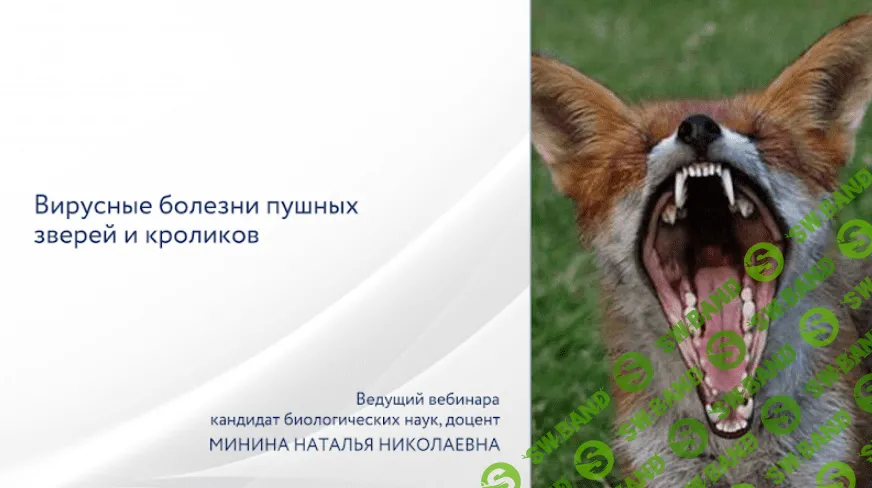 [Наталья Минина] Вирусные болезни пушных зверей и кроликов (2022)