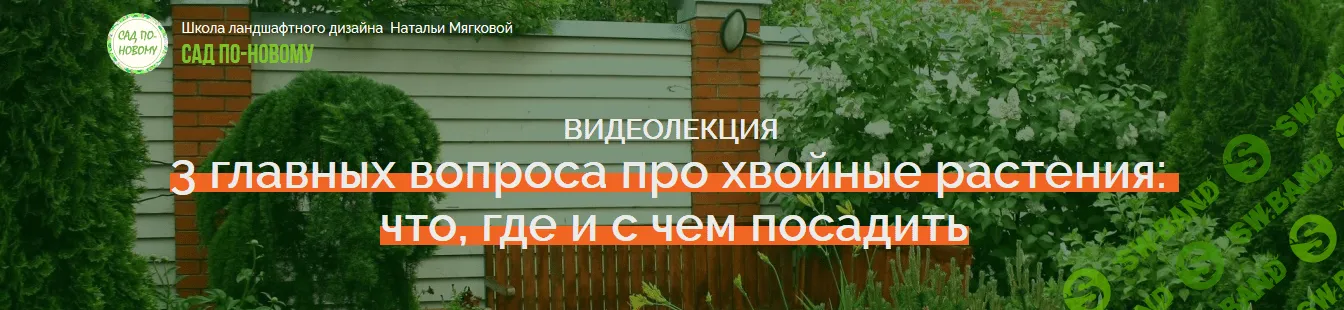 [Наталья Мягкова] 3 главных вопроса про хвойные растения: что, где и с чем посадить (2018)
