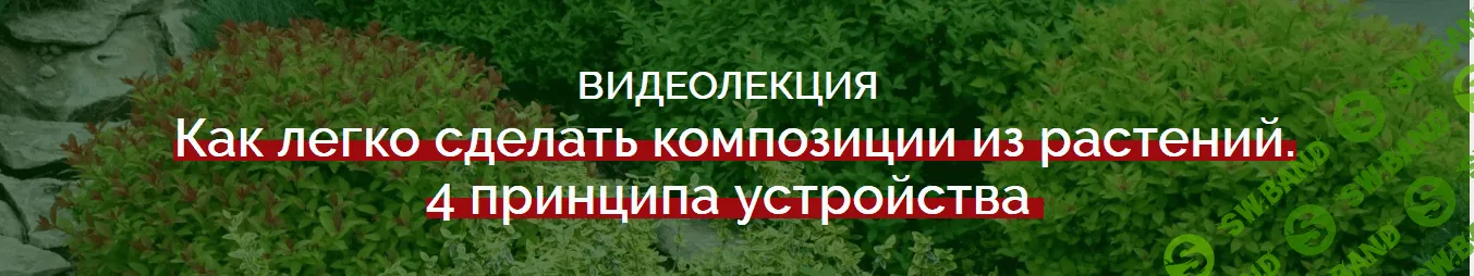 [Наталья Мягкова] Как легко сделать композиции из растений.4 принципа устройства (2018)