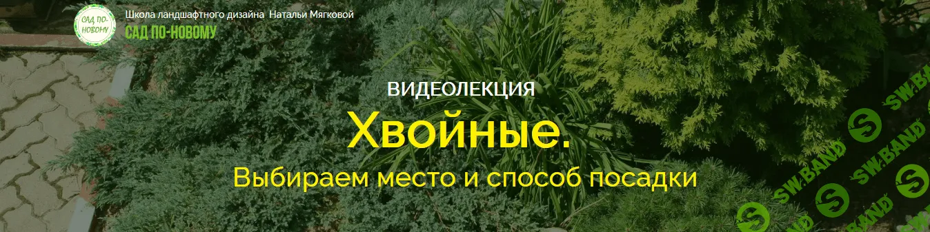 [Наталья Мягкова] Хвойные. Выбираем место и способ посадки (2018)
