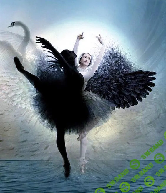 [Наталья Приймаченко] Интеграция Тени (2024)