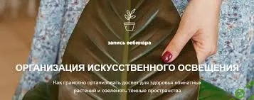 [Наталья Серова] Организация искусственного освещения (2022)