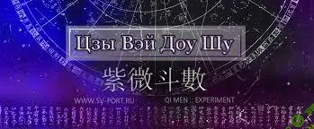 [Наталья Титова] Деньги в карте Цзы Вэй Дой Шу (2019)