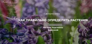 [Наталья Замятина] Авторский вебинар «Как правильно определять растения» (2024)