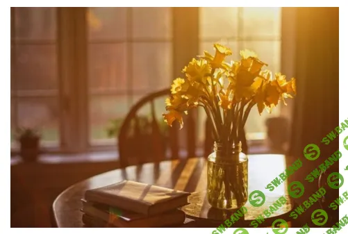 [Наташа Эльберг] Терапия молитвой. 62 молитвы (2026)