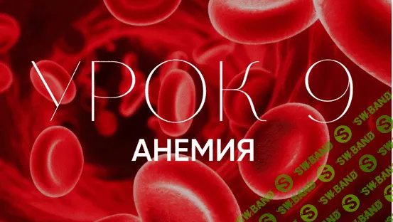 [Natura-School] Урок 9. «Железодефицитная анемия - Современное понимание натуропатии и психосоматики» (2023)
